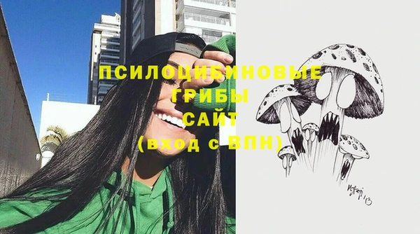 спайс Богородск