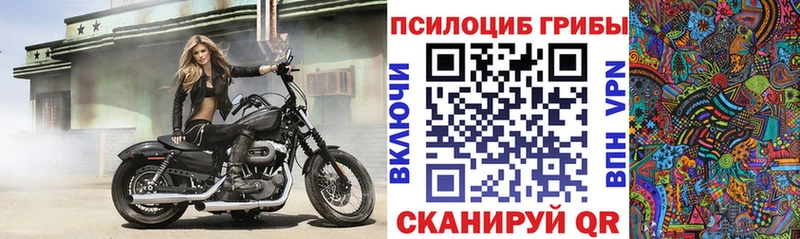 Галлюциногенные грибы Magic Shrooms  купить закладку  Можайск 