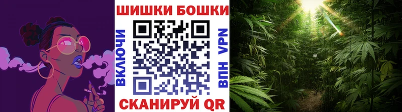 Бошки марихуана Ganja  как найти наркотики  Можайск 